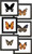 Butterfly Specimen Framed