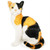  Catalina the Calico Cat Stuffed Animal