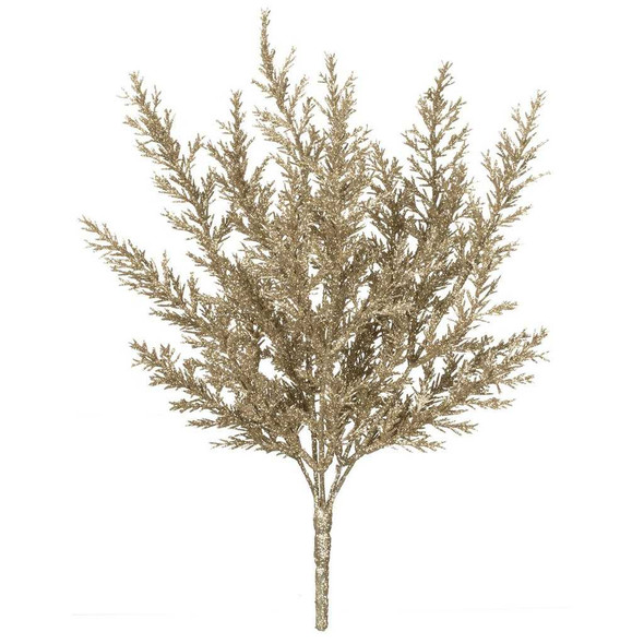 Sullivan's Gold Arborvitae Bush