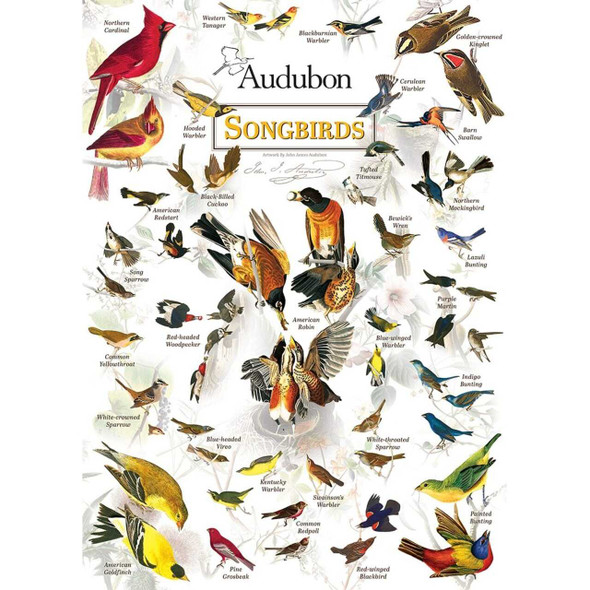 MasterPieces Poster Art - Audubon Songbirds - 1000 Piece Jigsaw Puzzle