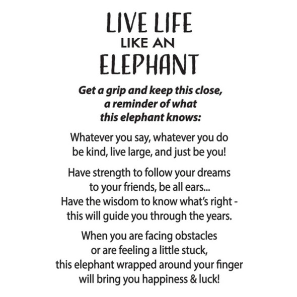 Ganz Live Life Like An Elephant Grip Charm