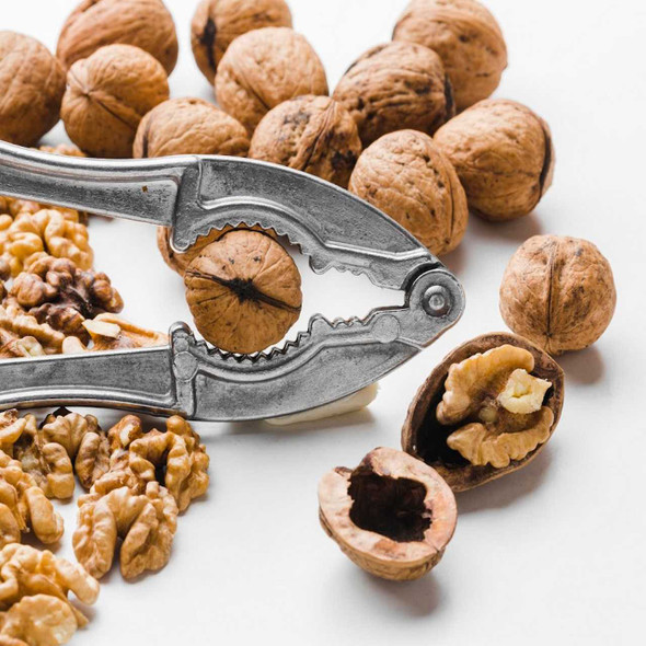 The Nut House In Shell Walnuts