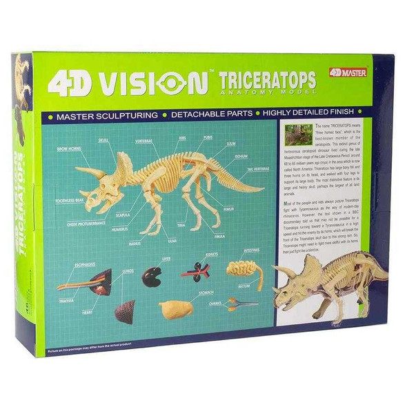  4D Triceratops Vision Model