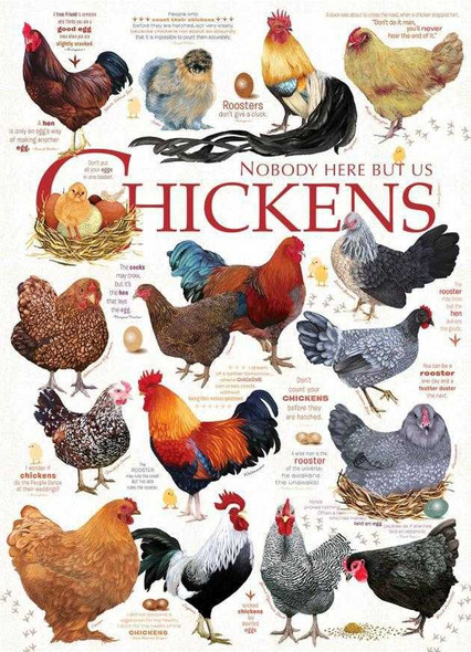 Chicken Quotes 1000 Piece Puzzle