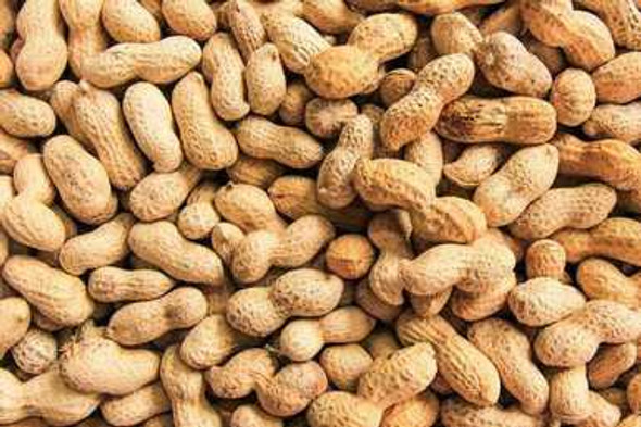  Roasted and Salted In Shell Peanuts 1 lb