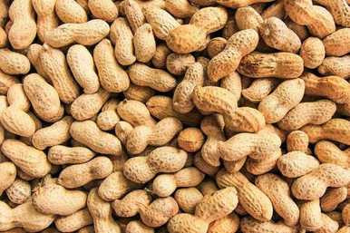 Roasted and Salted In Shell Peanuts 1 lb