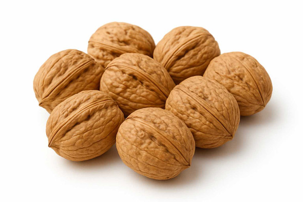In Shell Walnuts