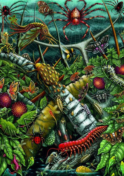 Orb Weavers 1000 Piece Velvet Touch Jigsaw Puzzle