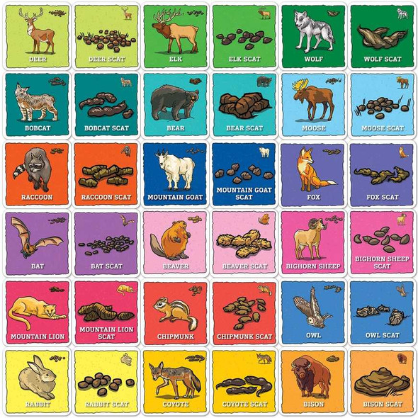 Jr Ranger Animal Poop Matching Game