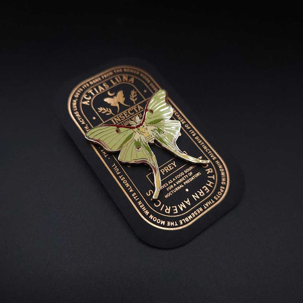  Luna Moth Educational Insect Pin