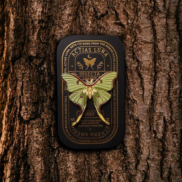  Luna Moth Educational Insect Pin