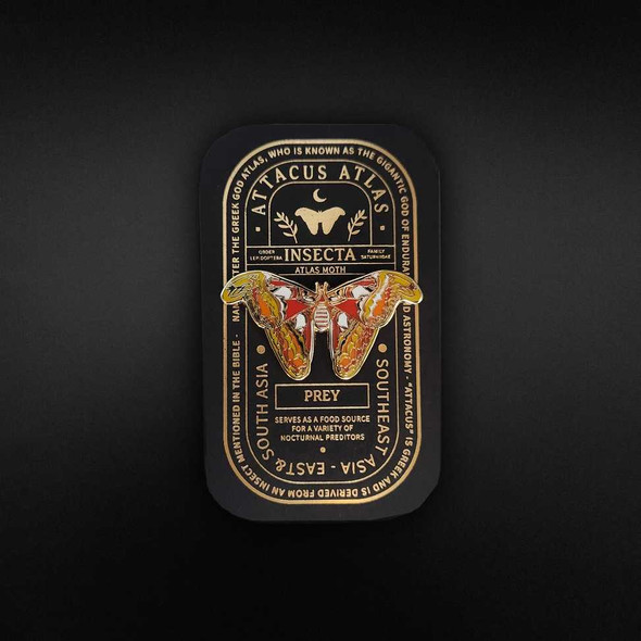  Atlas Moth Educational Insect Pin