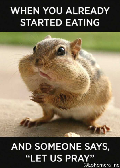  Already Started Eating Magnet