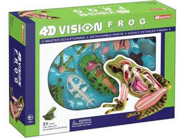  4D Vision Model Frog