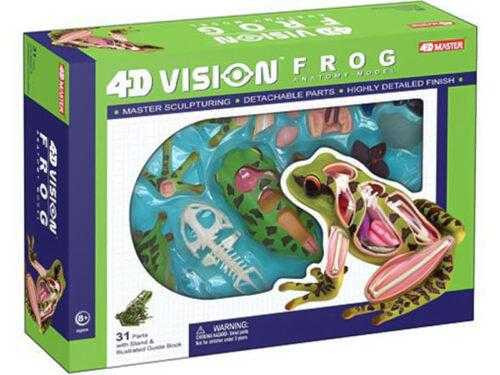 4D Vision Model Frog