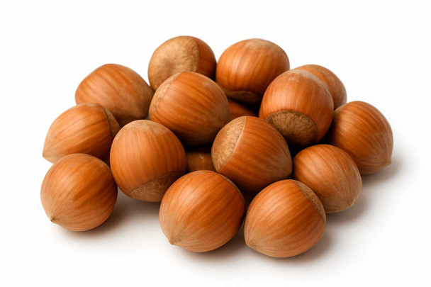 In Shell Hazelnuts