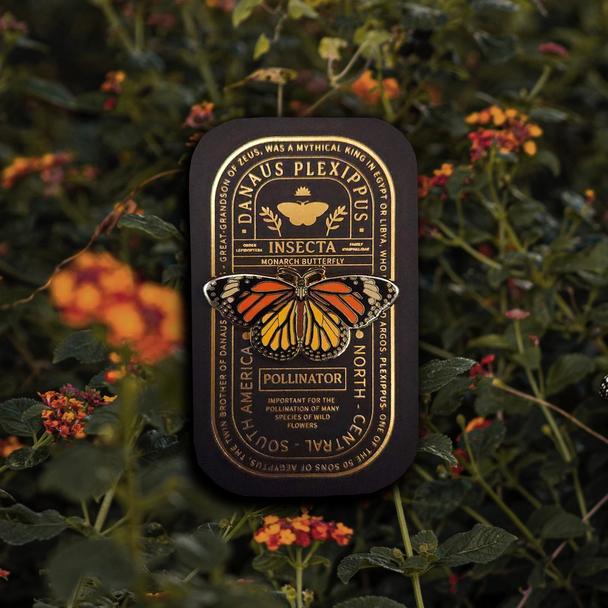 Monarch Butterfly Educational Insect Pin