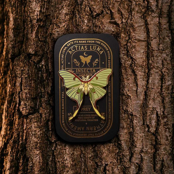  Luna Moth Educational Insect Pin