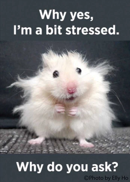 Yes I'm A Bit Stressed Magnet