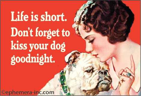 Kiss Your Dog Goodnight