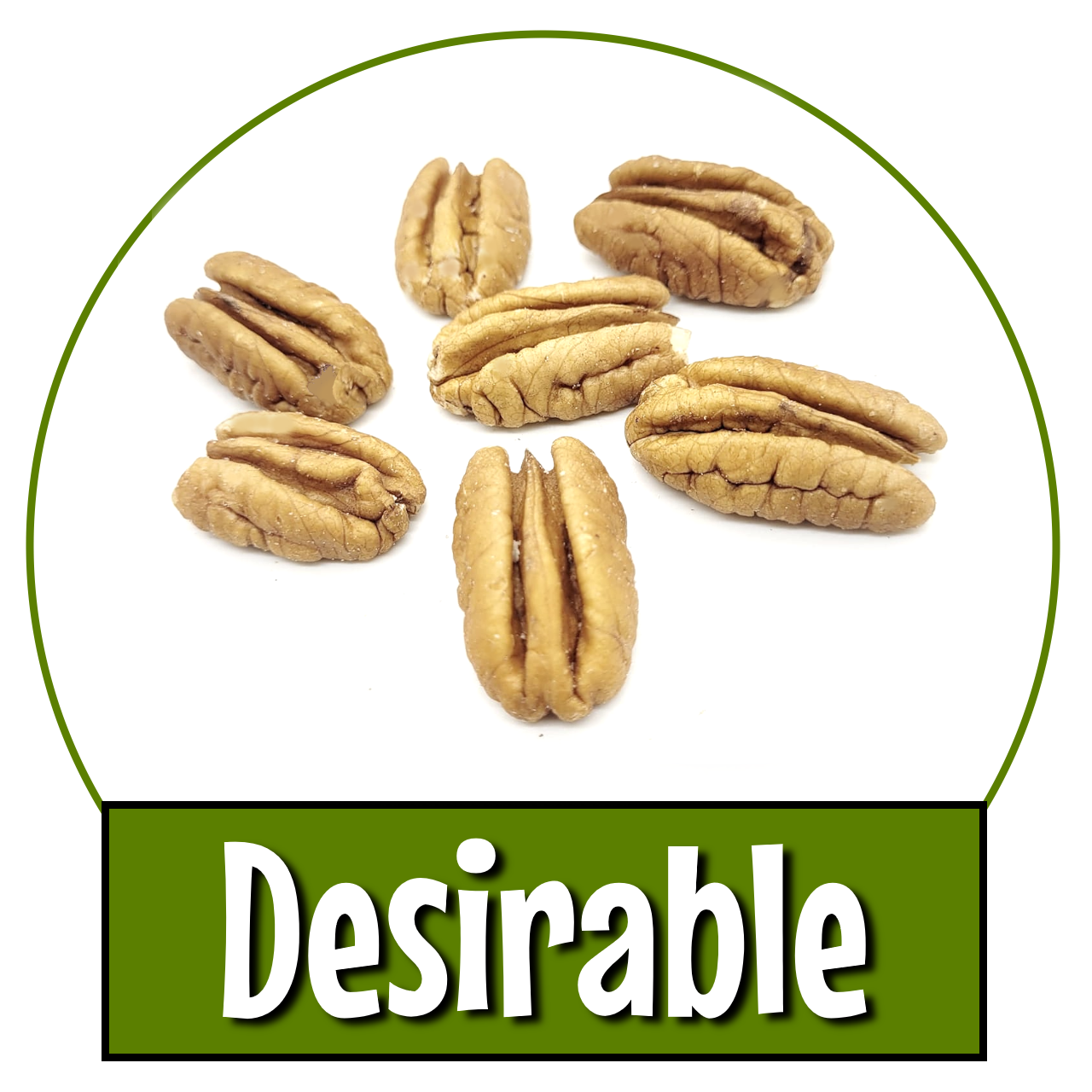 Desirable Pecans- huge delicious papershell pecans grown in Oklahoma