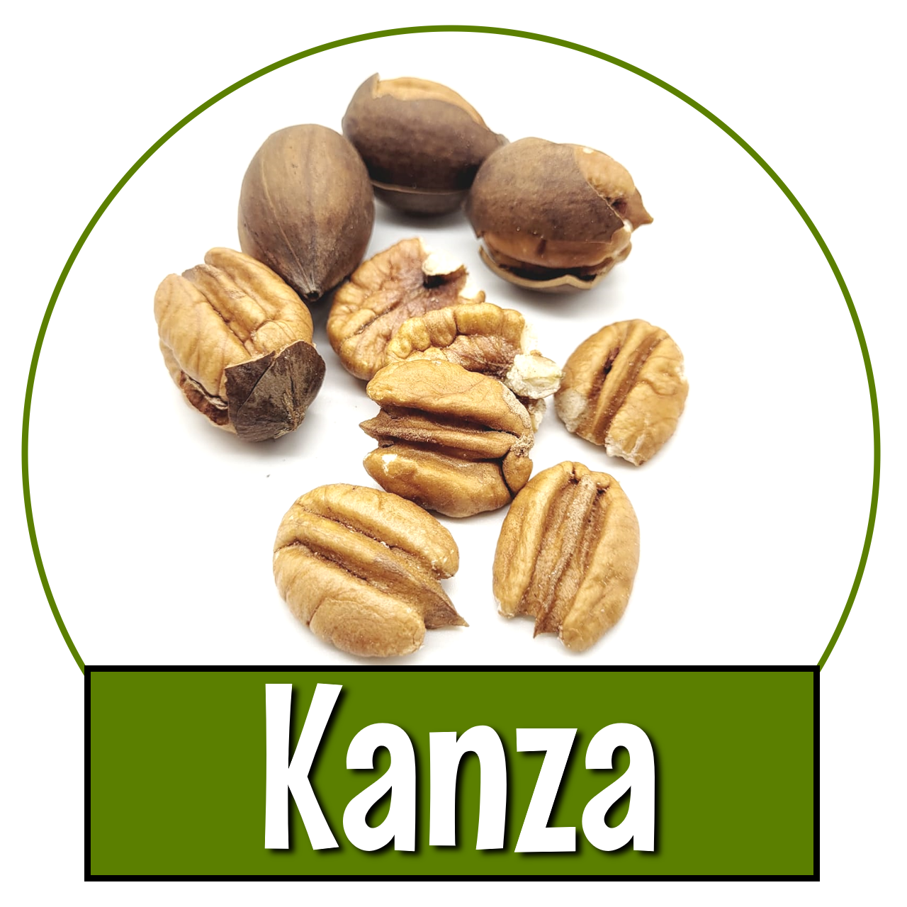 Kanza pecans grown in Oklahoma!