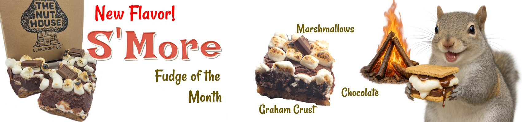 Brand new exclusive to the Nut House! Try our S'more fudge!