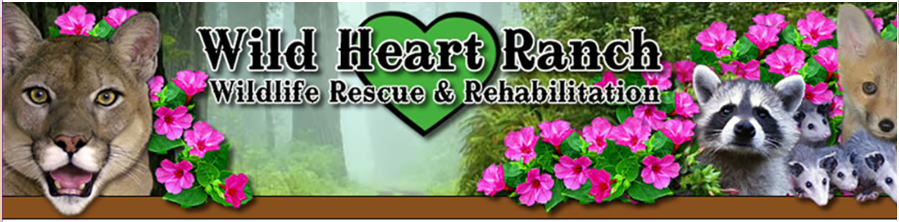 Part of the proceeds from ticket sales go to our Charity Partner, Wild Heart Ranch