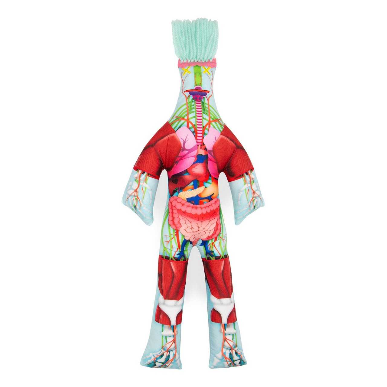 Anatomy Dammit Doll