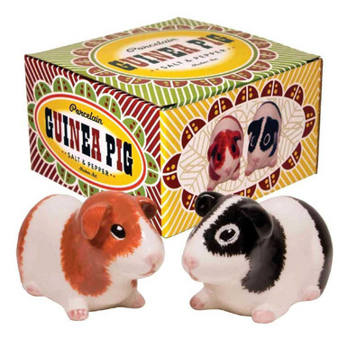 Guinea Pig Salt and Pepper Shaker Set
