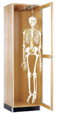Diversified Woodcrafts Hanging Skeleton Cabinet