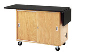 Diversified Woodcrafts Mobile Lab 48x24x36, Oak Diversified Woodcrafts Shiffler Furniture and Equipment for Schools