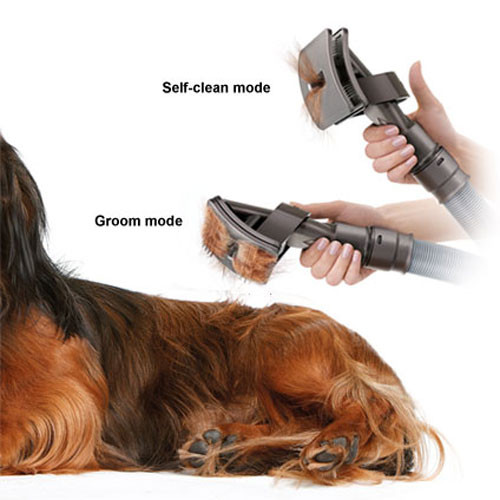 Buy Dyson Groom Tool from Canada at