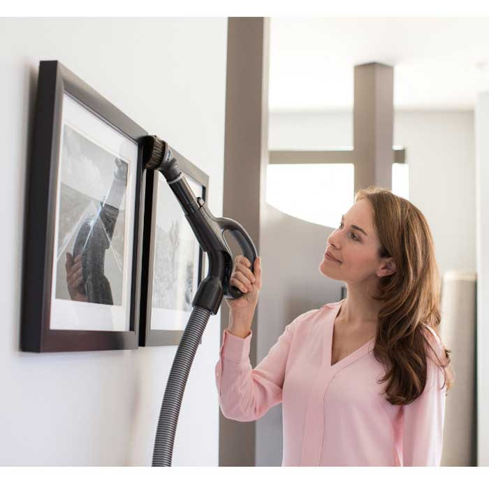 Buy Electrolux Ultra One Deluxe EL7085B Canister Vacuum Cleaner from