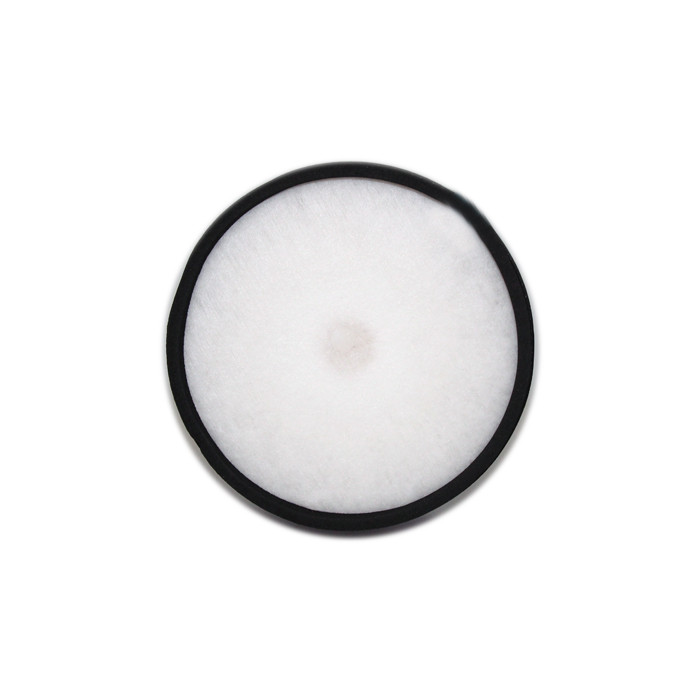 Buy Dyson DC07 and DC14 Exhaust Filter from Canada at