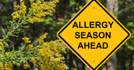 Cleaning Tips for Allergy Prevention