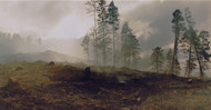 Wildfire Smoke Is Bringing Smog Back: Here's What You Need To Know