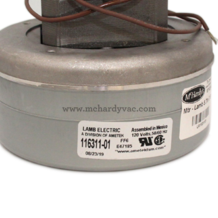 Buy Lamb Ametek 11631101 Vacuum Motor Filter Queen Miracle Mate