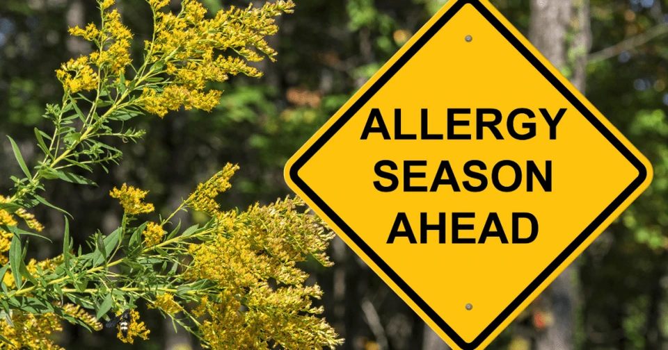Cleaning Tips for Allergy Prevention