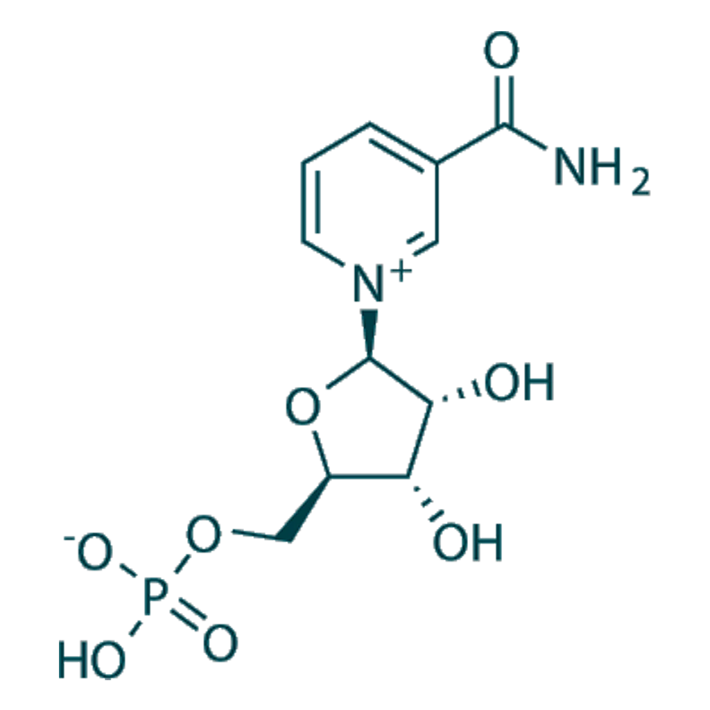 NMN Nicotinamide Mononucleotide