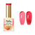 Glaze Jelly Gel Polish Kit