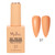 Spring Nude Gel Polish Kit