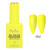 Summer Neon Gel Polish Kit