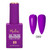 Summer Neon Gel Polish Kit