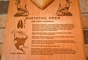 Story of the Hunt Plaque Story of the Hunt Plaque