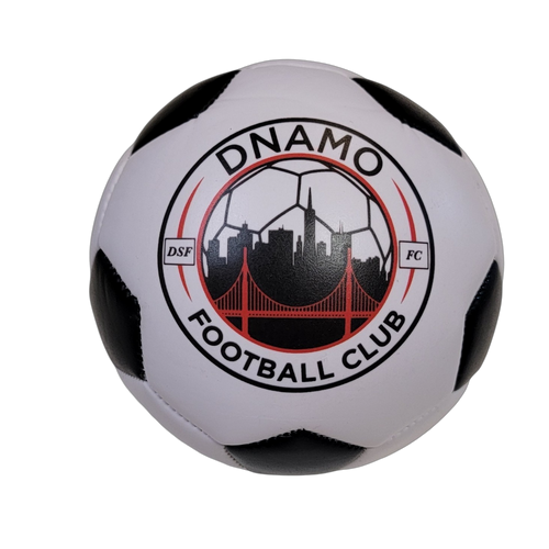 Custom Soccerball branded with Football Club logo