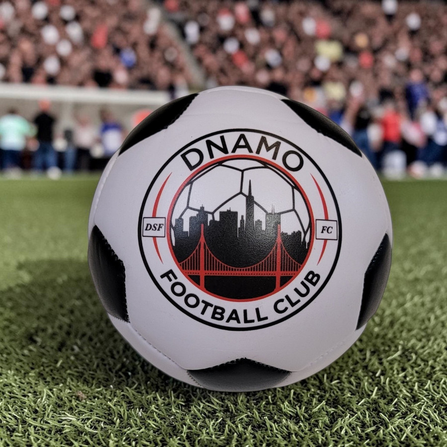 Custom Soccerballs with your team logo