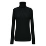 Turtle neck fitted casual knit top