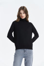 Turtle Neck Middle Gauge Knit Top