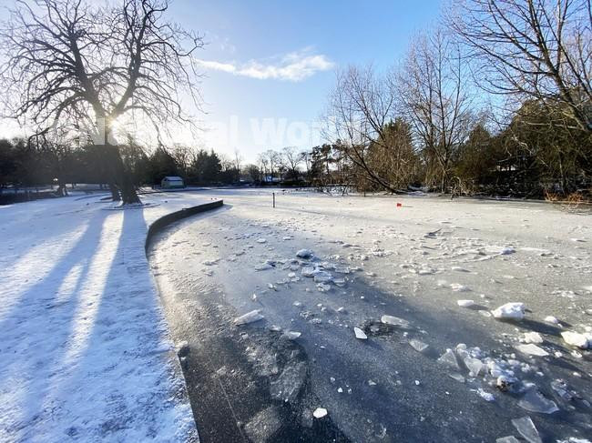 39628972The Park Pond at Ward Jackson Park, Hartlepool. Picture by
